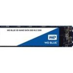 WD BLUE SSD 1TB M.2 3D NAND SATA  NMS NS INT WDS100T2B0B